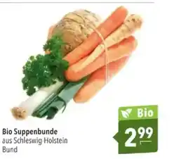 Citti Bio Suppenbunde tilbud