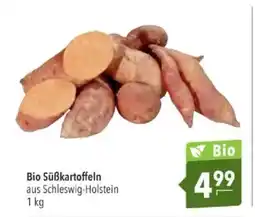 Citti Bio Süßkartoffeln tilbud