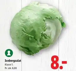 Lidl Icebergsalat, DKK 8 tilbud