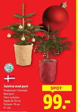 Lidl Juletræ med pynt, DKK 99 tilbud