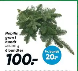 Bilka Nobilis gran i bundt, DKK 100 tilbud