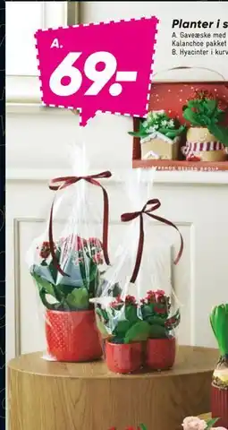 Bilka Gaveæske med 2 stk, DKK 69 tilbud