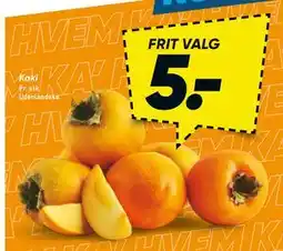 Bilka Kaki, DKK 5 tilbud