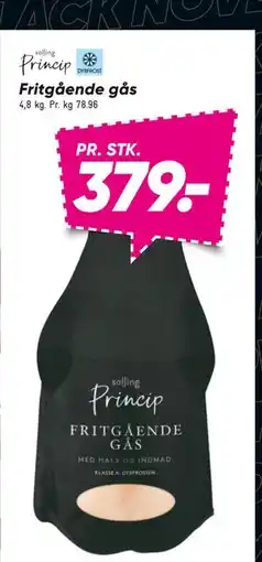 Bilka Fritgående gås, DKK 379 tilbud