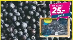 Bilka Blåbær, DKK 25 tilbud