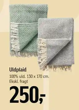 Føtex Uldplaid, DKK 250 tilbud