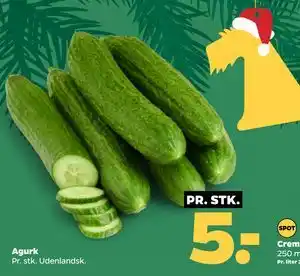 Agurk, DKK 5