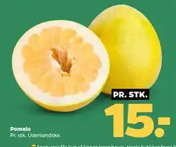 Netto Pomelo, DKK 15 tilbud