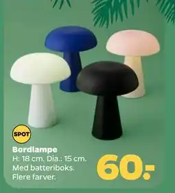Netto Bordlampe, DKK 60 tilbud