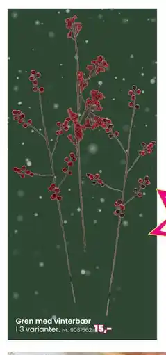 Hi five Gren med vinterbær, DKK 15 tilbud
