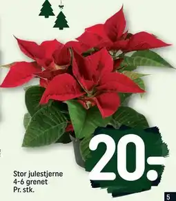 REMA 1000 Stor julestjerne 4-6 grenet Pr. stk., DKK 20 tilbud
