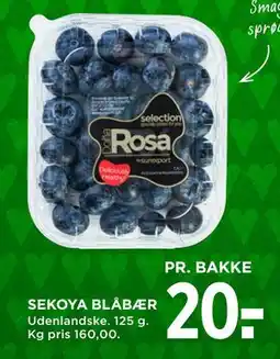 MENY SEKOYA BLÅBÆR, DKK 20 tilbud
