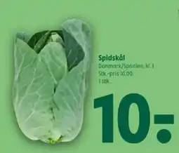 Coop 365 Spidskål tilbud