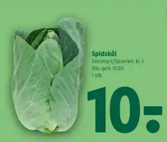 Coop 365 Spidskål tilbud