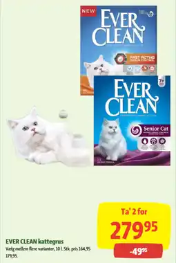 Maxi Zoo EVER CLEAN Kattegrus tilbud