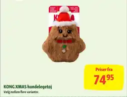 Maxi Zoo Kong xmas hundelegetøj tilbud