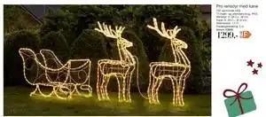 Harald Nyborg Pro rensdyr med kane, DKK 1299 tilbud