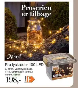 Pro lyskæder 100 LED, DKK 198