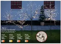 Harald Nyborg Lystræer med blomster tilbud