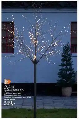 Harald Nyborg Lystræ 600 LED, DKK 599 tilbud