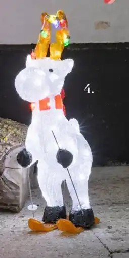 Harald Nyborg Rensdyr på ski, DKK 249 tilbud