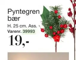 Harald Nyborg Pyntegren bær, DKK 19 tilbud