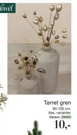 Harald Nyborg Tørret gren, DKK 10 tilbud