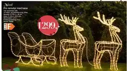 Harald Nyborg Pro rensdyr med kane, DKK 1299 tilbud