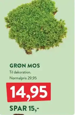 Plantorama Grøn mos tilbud