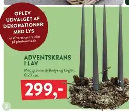 Plantorama Adventskrans i lav tilbud