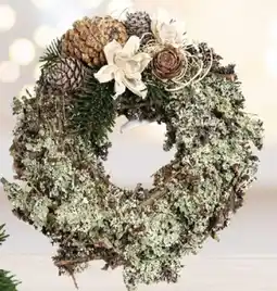 Plantorama F.eks. tilbud