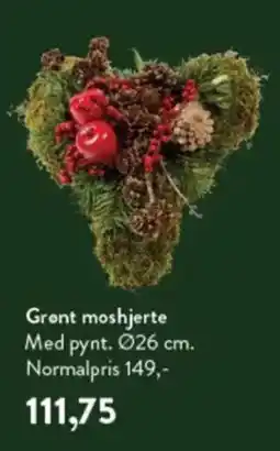 Plantorama Grønt moshjerte Med pynt. tilbud