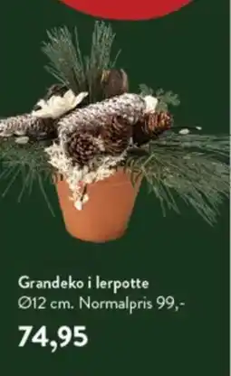 Plantorama Grandeko i lerpotte tilbud