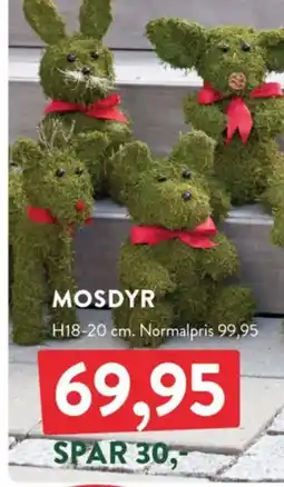 Plantorama Mosdyr tilbud