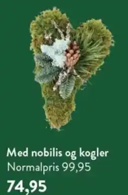 Plantorama Med nobilis og kogler tilbud