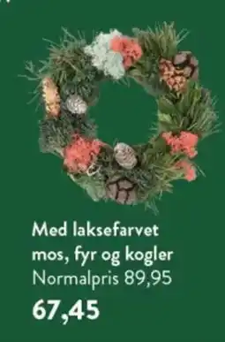 Plantorama Med laksefarvet tilbud