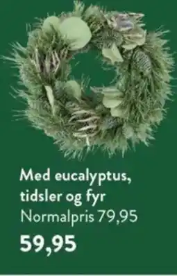Plantorama Med eucalyptus tilbud