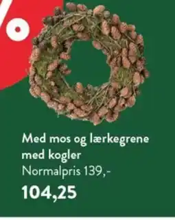 Plantorama Med mos og lærkegrene med kogler tilbud