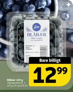 Løvbjerg Blåbær tilbud