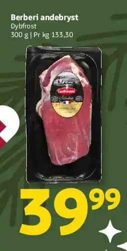 Løvbjerg Berberi andebryst tilbud