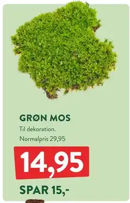 Plantorama GRØN MOS, DKK 14.95 tilbud