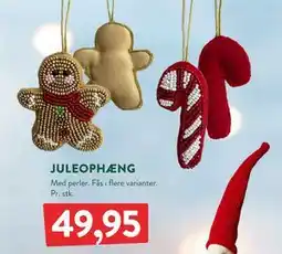 Plantorama JULEOPHÆNG, DKK 49.95 tilbud