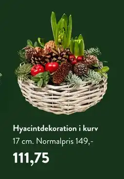 Plantorama Hyacintdekoration i kurv, DKK 111.75 tilbud