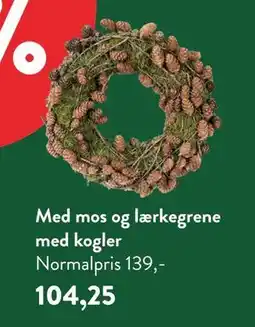 Plantorama Med mos og lærkegrene med kogler, DKK 104.25 tilbud