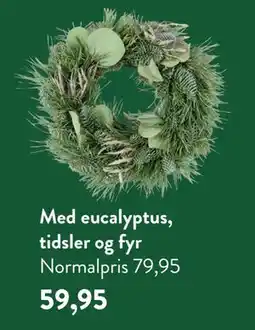 Plantorama Med eucalyptus, tidsler og fyr, DKK 59.95 tilbud