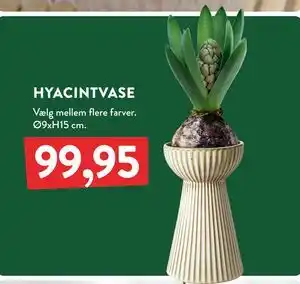 Plantorama HYACINTVASE, DKK 99.95 tilbud