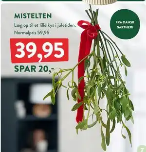 Plantorama MISTELTEN, DKK 39.95 tilbud