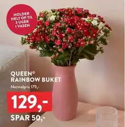 Plantorama RAINBOW BUKET, DKK 129 tilbud