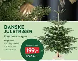 Plantorama DANSKE JULETRÆER, DKK 199 tilbud