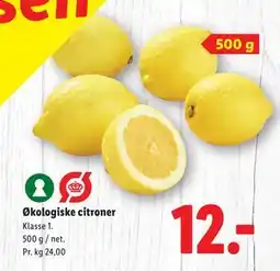 Lidl Økologiske citroner, DKK 12 tilbud